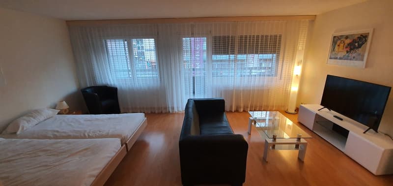 Appartement meublé 1 pièce au cœur de Bienne (10)