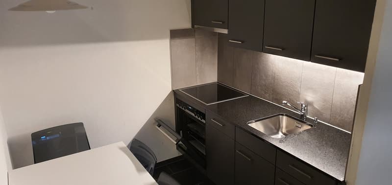 Appartement meublé 1 pièce au cœur de Bienne (6)