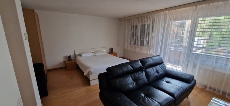 Appartement meublé 1 pièce au cœur de Bienne (3)