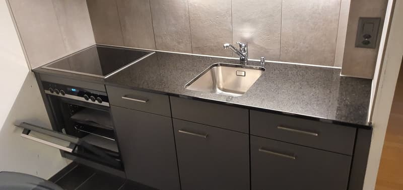 Appartement meublé 1 pièce au cœur de Bienne (5)