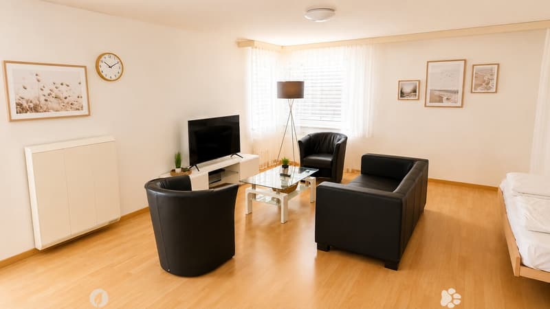Möbliert wohnen im Herzen von Biel – 40 m², Balkon, Klima & Sauna (7)