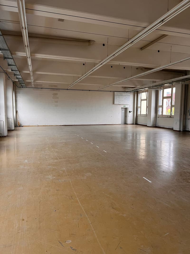 Multifunktionale Gewerbefläche: Produktion & Lager (3)