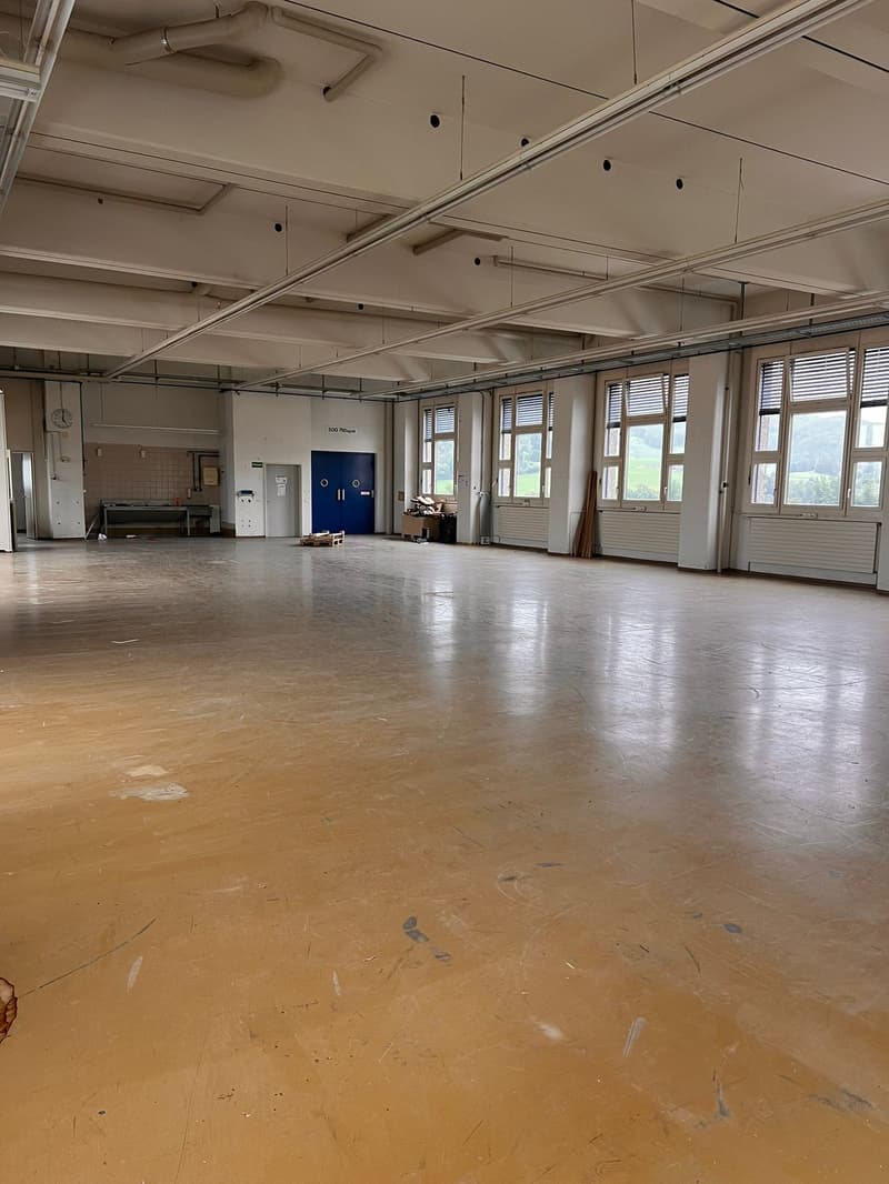 Multifunktionale Gewerbefläche: Produktion & Lager (2)