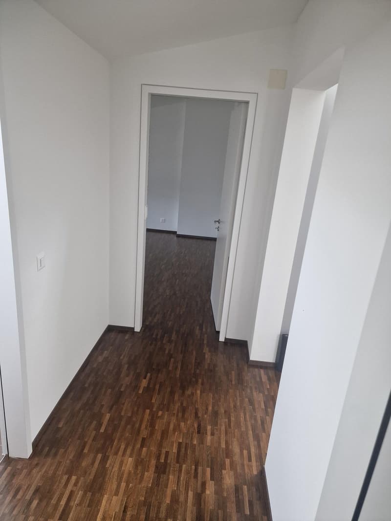 Appartement lumineux de 3.5 pièces au cœur de Fribourg (6)