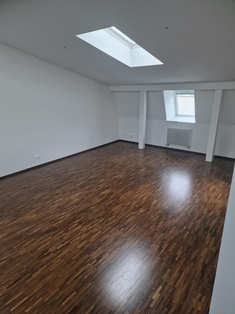 Appartement lumineux de 3.5 pièces au cœur de Fribourg (4)