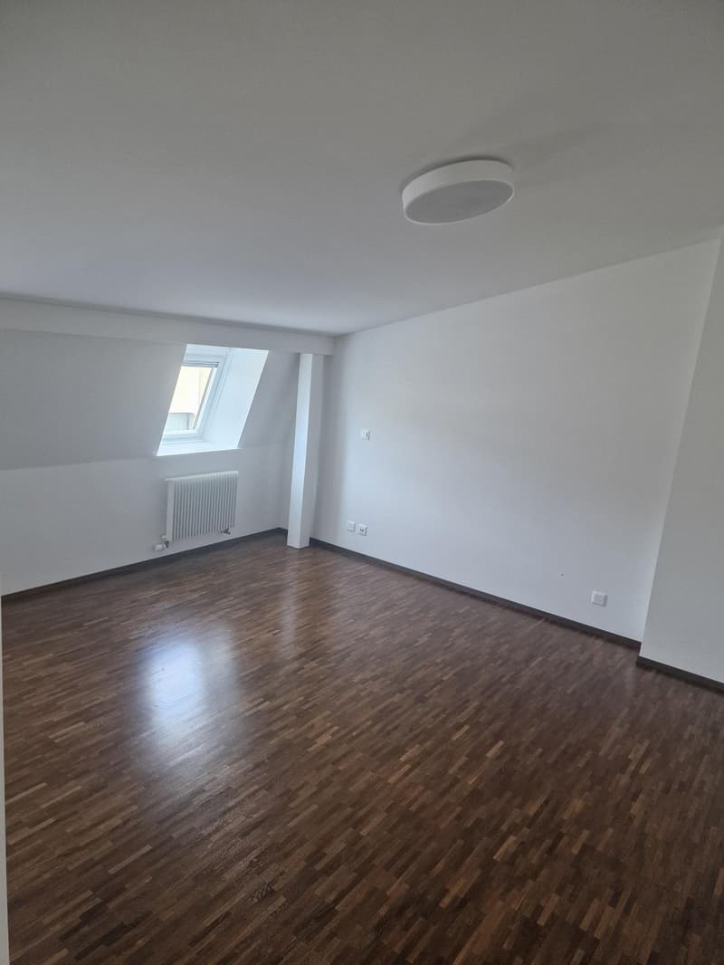 Appartement lumineux de 3.5 pièces au cœur de Fribourg (7)