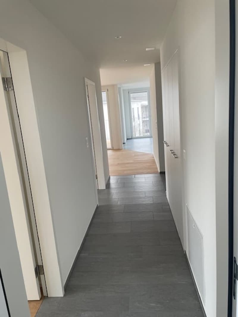 Freihof im Herzen von Thayngen (4)