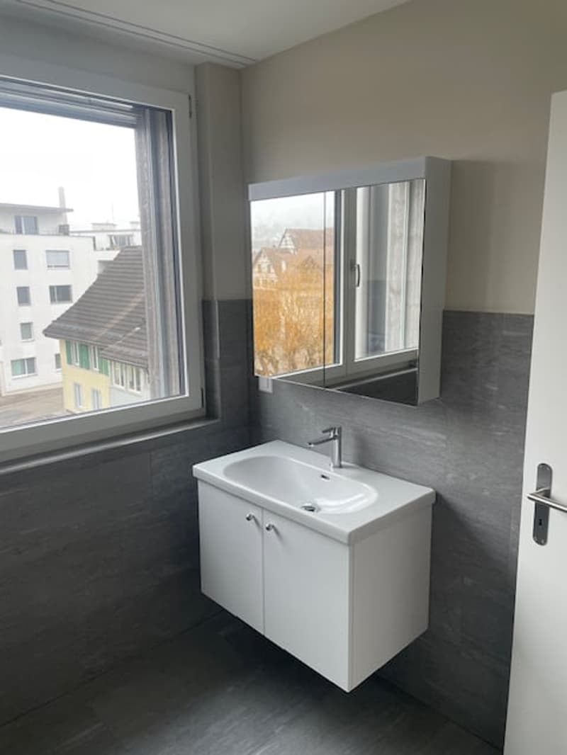Freihof im Herzen von Thayngen (6)