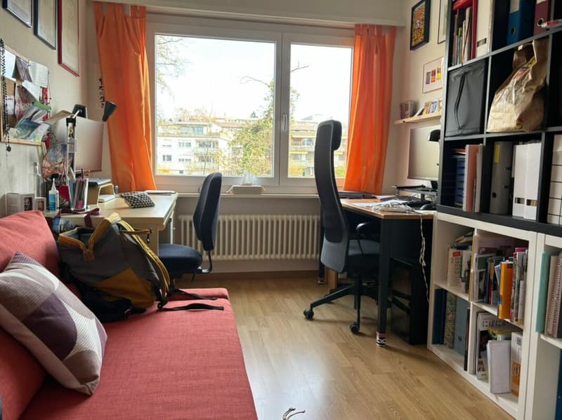 Wohnen direkt an der Zihl (6)
