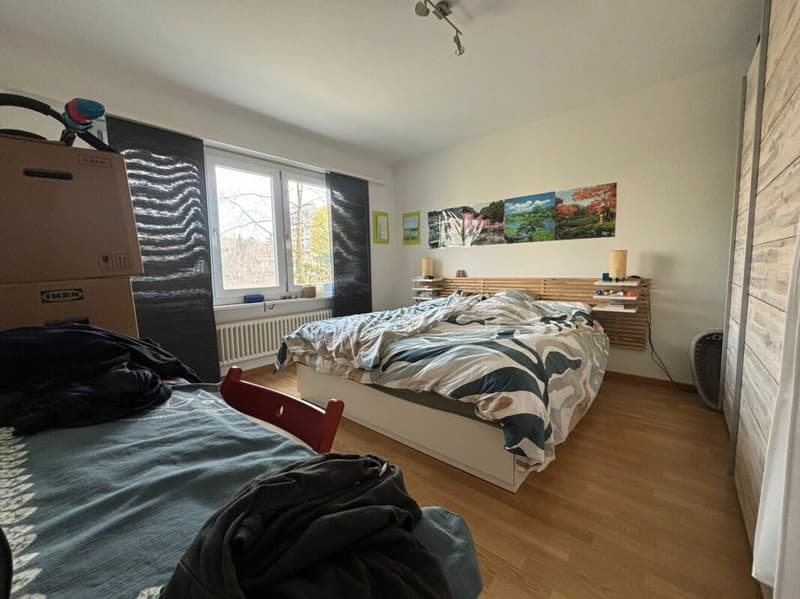 Wohnen direkt an der Zihl (5)
