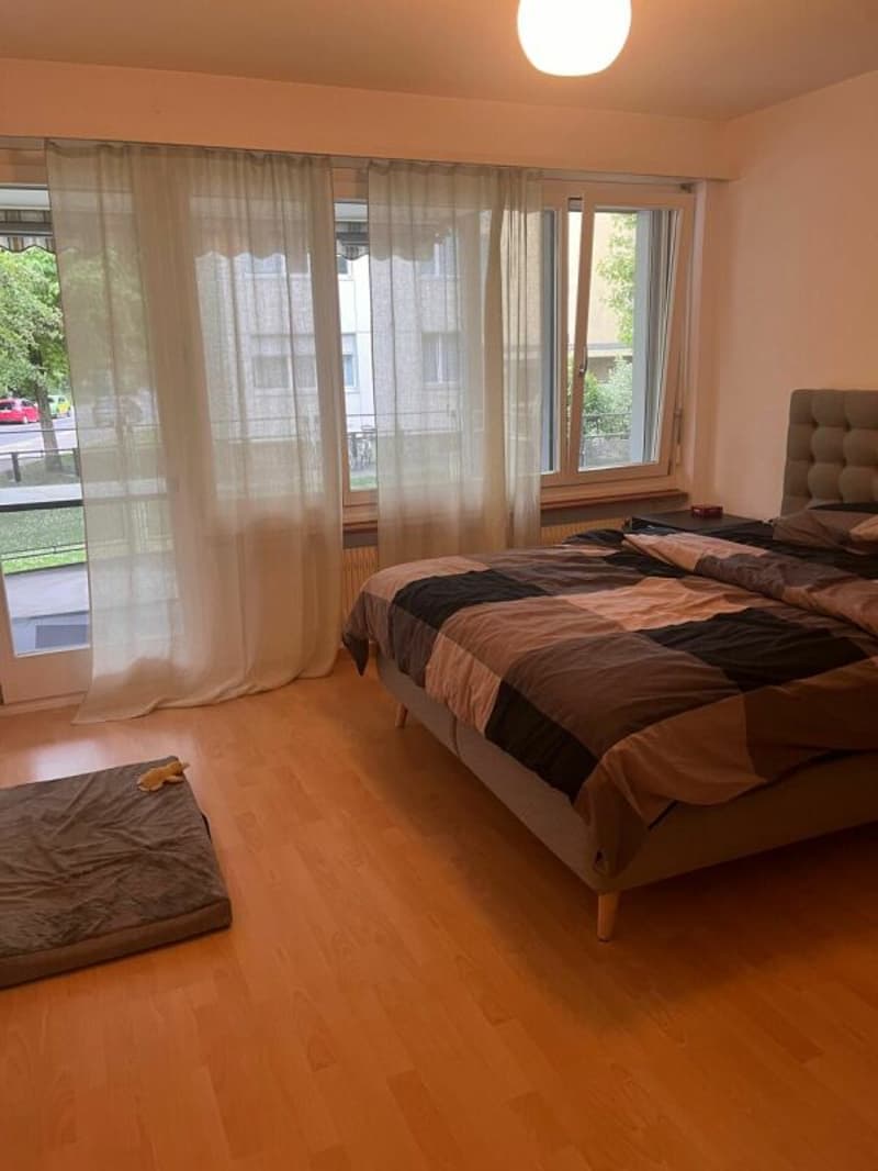 helle, gemütliche 3.5-Zimmerwohnung mit grossem Balkon (3)