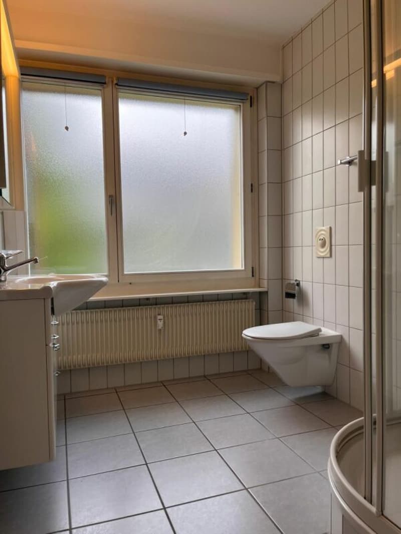 helle, gemütliche 3.5-Zimmerwohnung mit grossem Balkon (9)