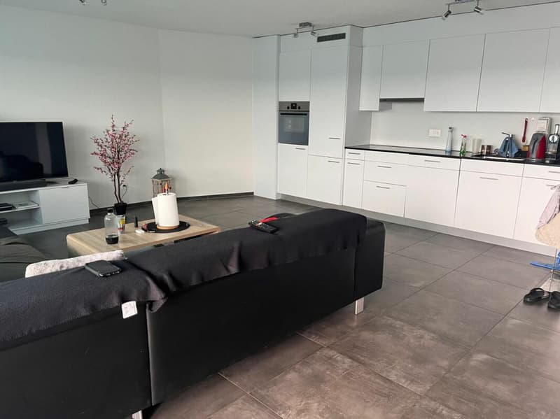 3.5 Zimmer Wohnung mit Loggia (1)
