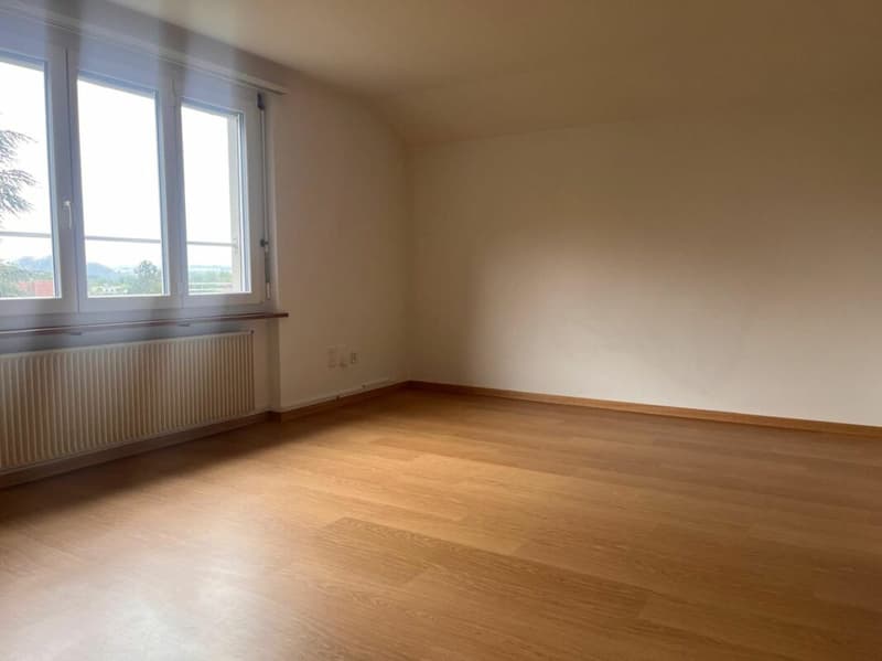 3-Zimmer-Dachwohnung in gepflegtem 3-Familienhaus (3)