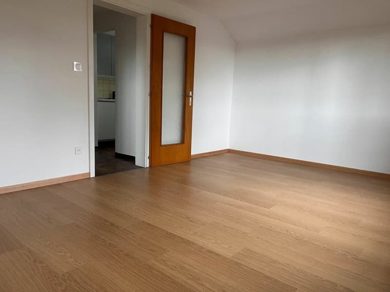 3-Zimmer-Dachwohnung in gepflegtem 3-Familienhaus (2)