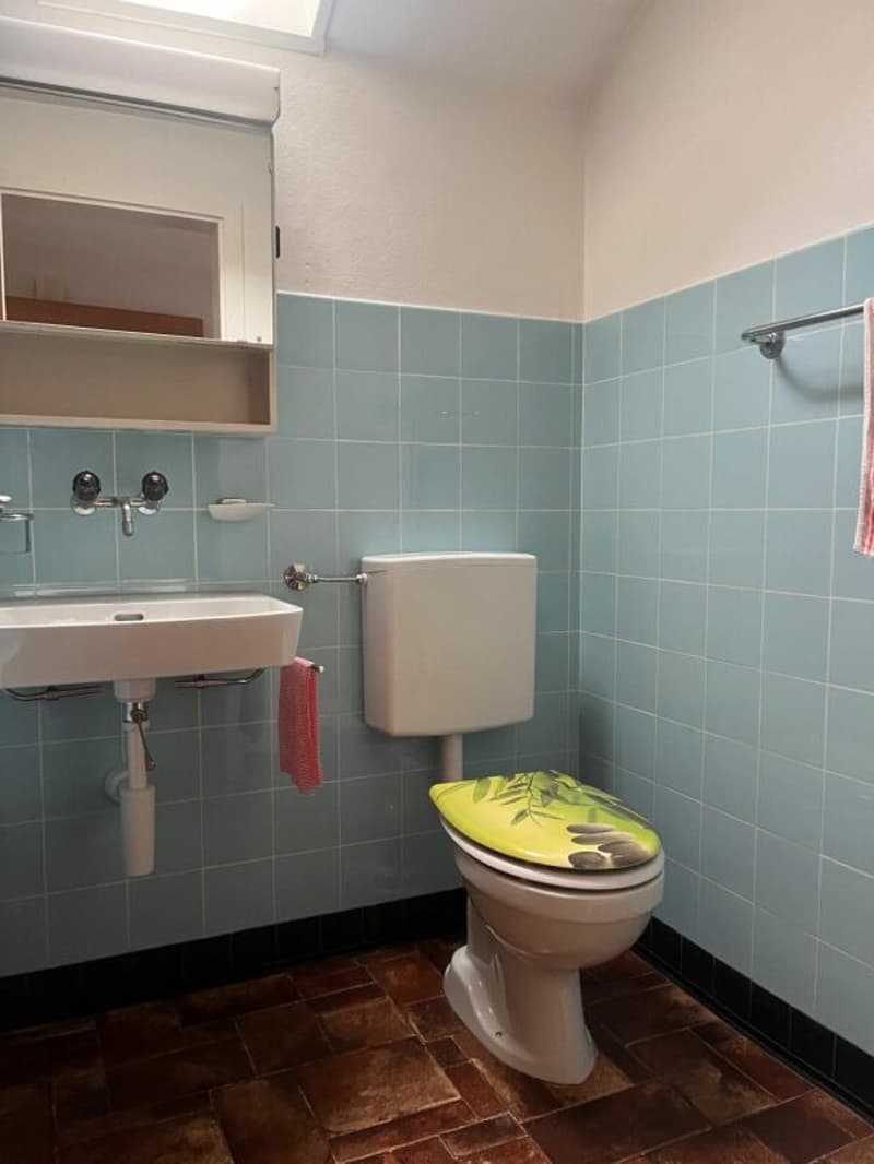 3-Zimmer-Dachwohnung in gepflegtem 3-Familienhaus (6)