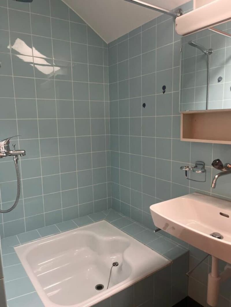 3-Zimmer-Dachwohnung in gepflegtem 3-Familienhaus (7)