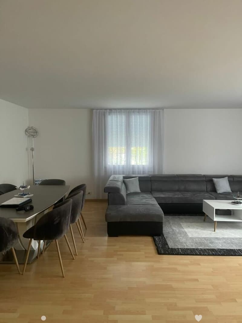 Grosse 7.5-Zimmerwohnung in grüner Oase (1)