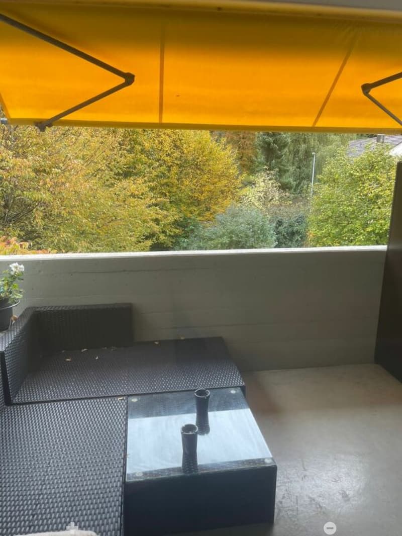 Grosse 7.5-Zimmerwohnung in grüner Oase (6)