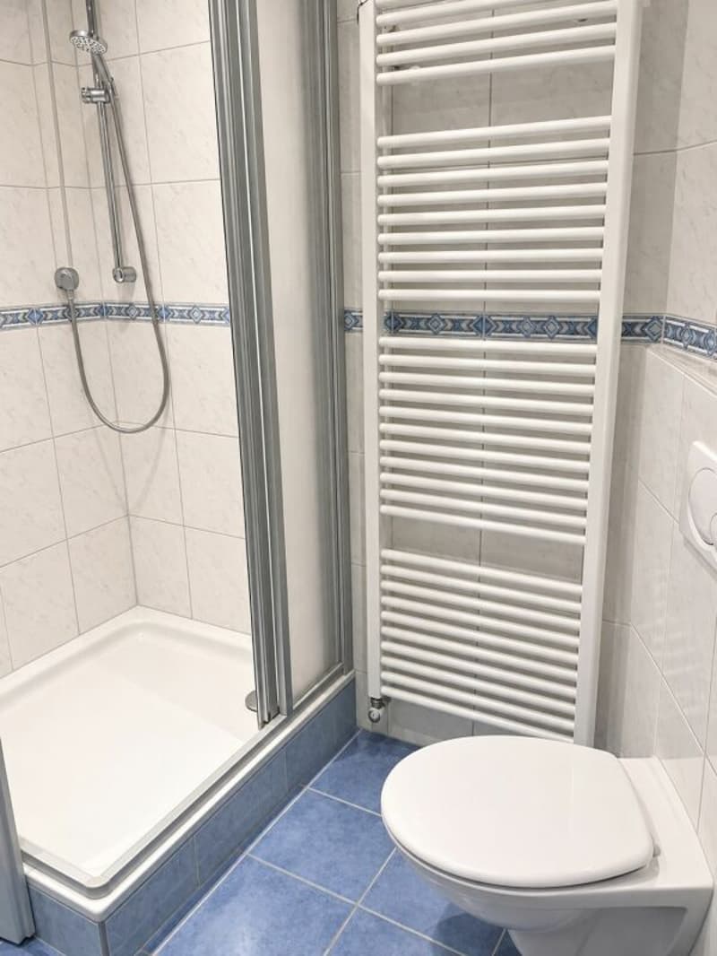Ruhige 4.5-Zimmerwohnung im 3. OG (Lift) mit Fernsicht (9)