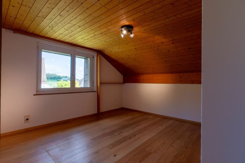 4.5 Zimmerwohnung mit Cheminée und Alpensicht (7)