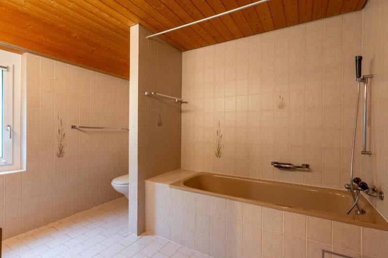 4.5 Zimmerwohnung mit Cheminée und Alpensicht (9)