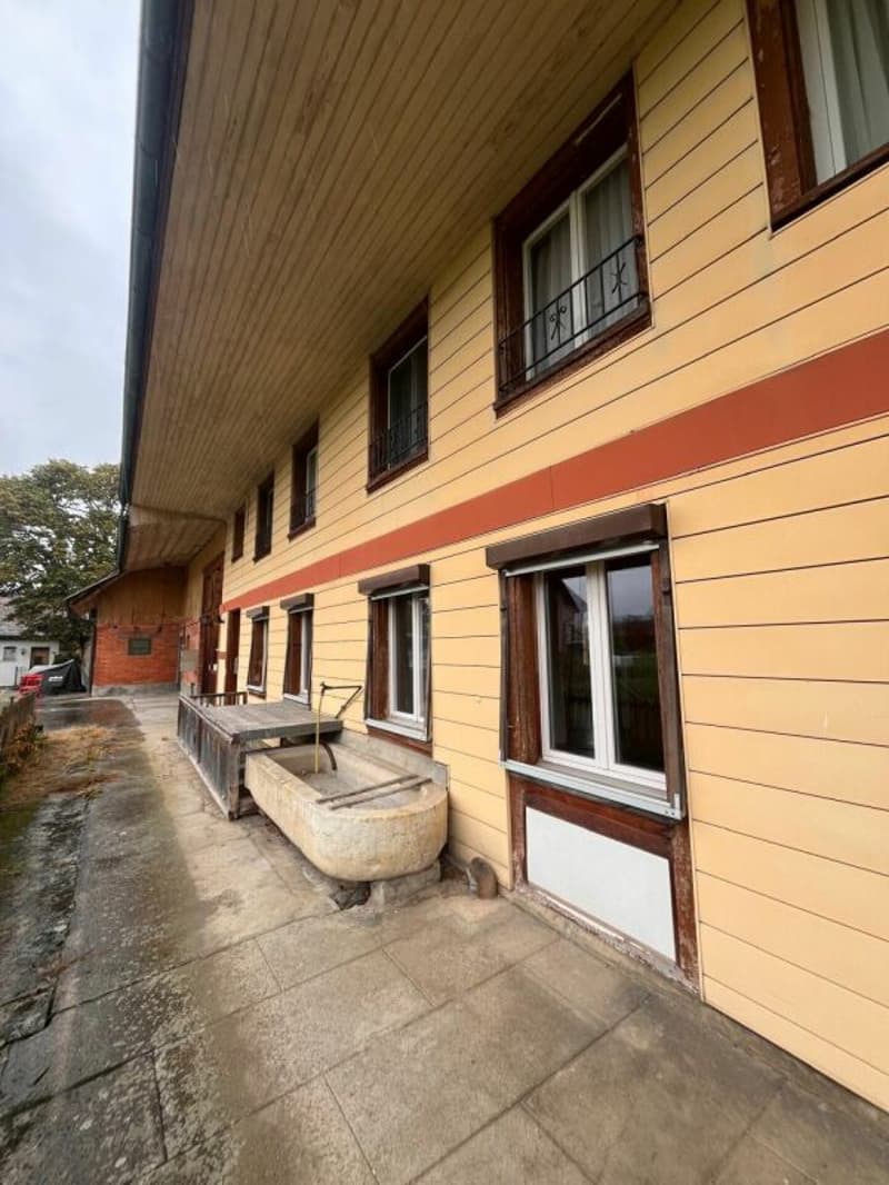 schöne 4.5-Zimmerwohnung im idyllischen Storchen-Dorf Grossaffoltern (9)