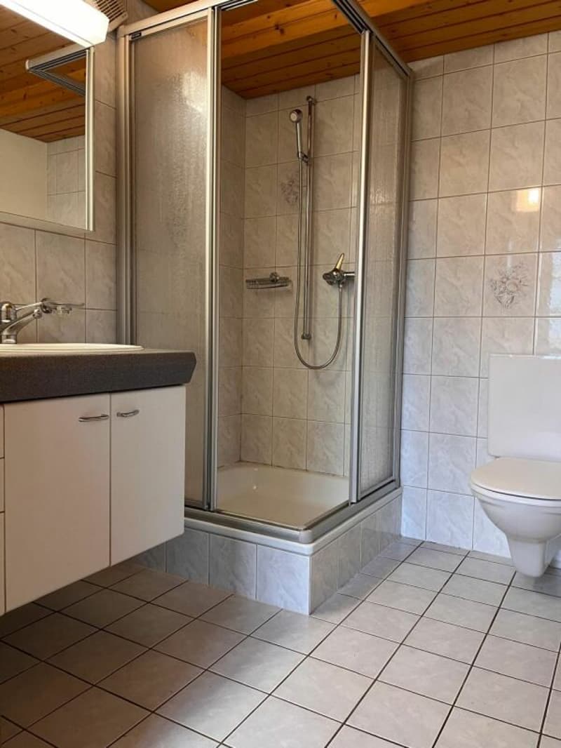 schöne 4.5-Zimmerwohnung im idyllischen Storchen-Dorf Grossaffoltern (7)