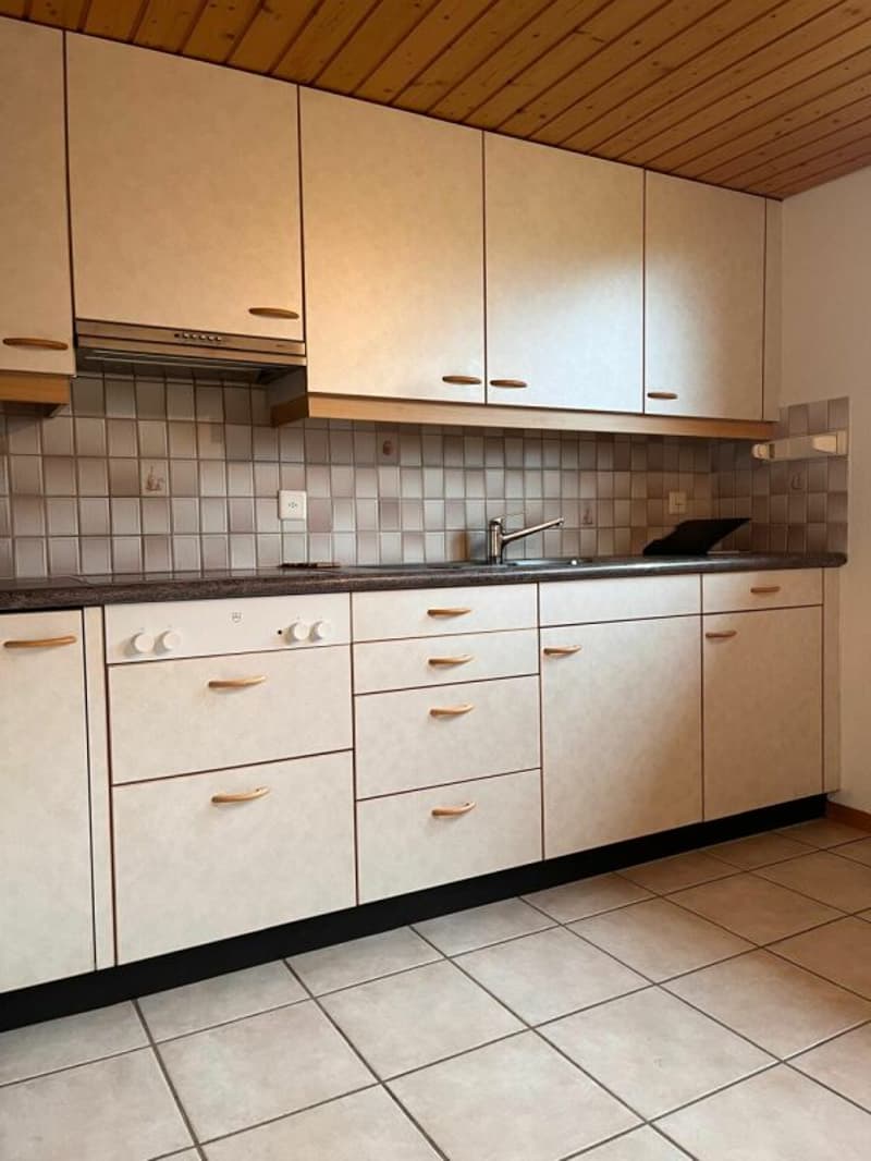 schöne 4.5-Zimmerwohnung im idyllischen Storchen-Dorf Grossaffoltern (5)