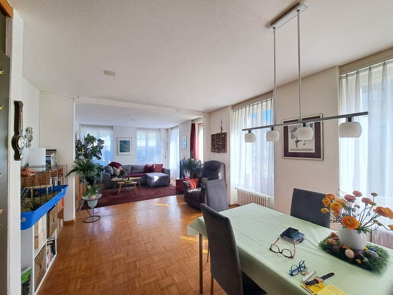 Hardwood floors, large windows, open layout connecting living room and dining area, potted plants, a dining table, and chairs.