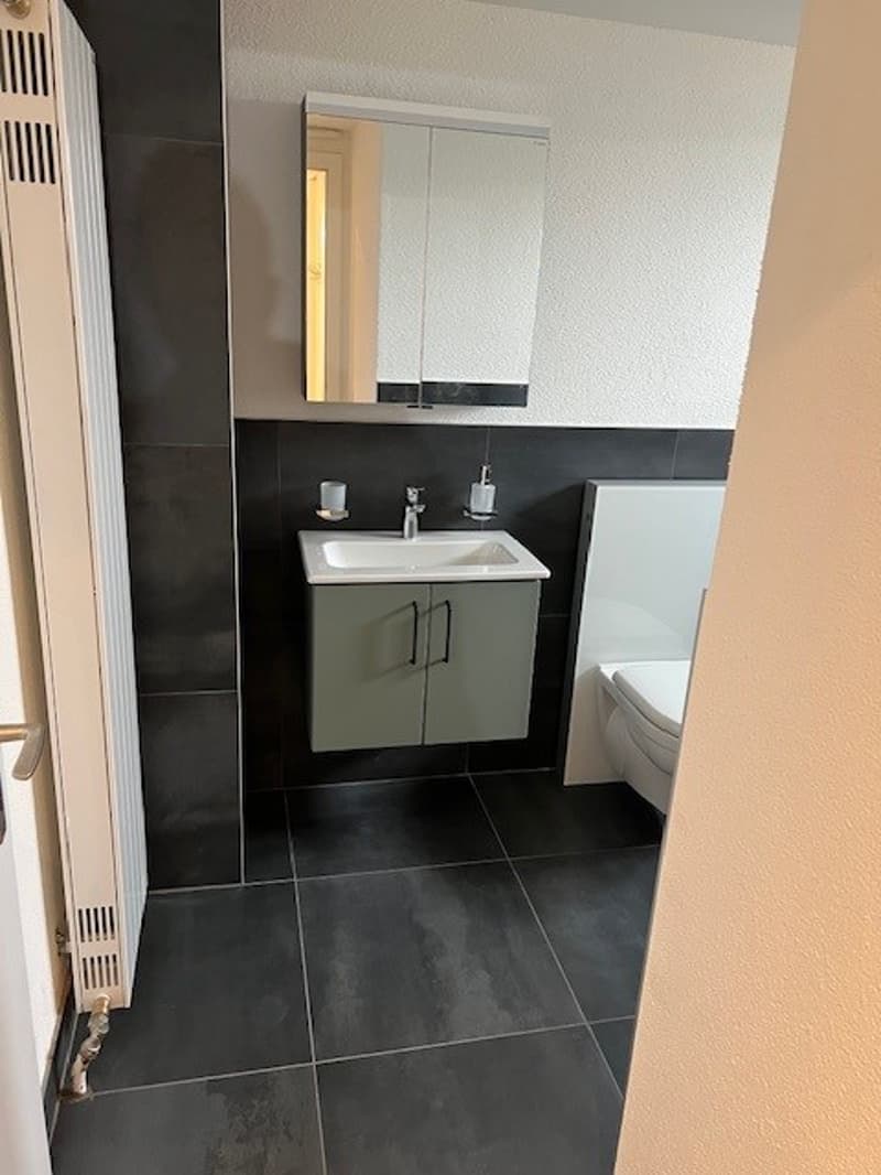Black tiled floor, white sink with a faucet, mirror, cabinet with doors, white toilet.