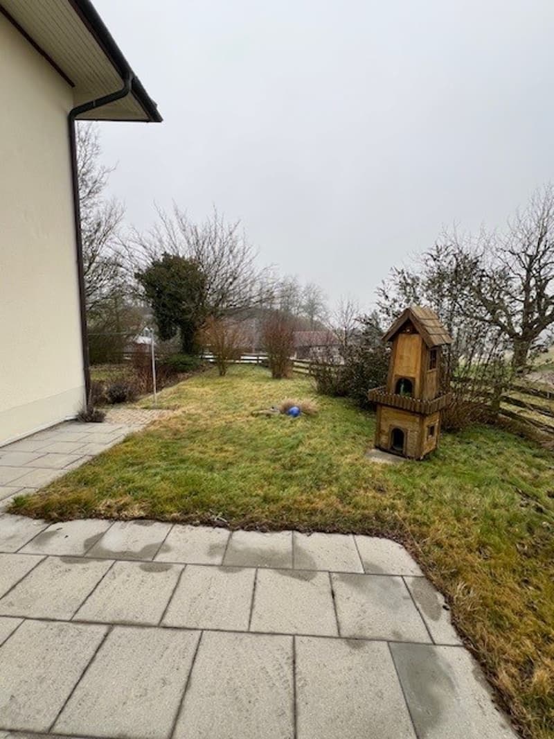 Patio with stone tiles, grassy lawn, wooden doghouse, trees, fence, house on the left