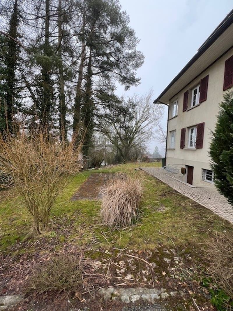 Large garden with trees, shrubs, grass, brick pathway to house