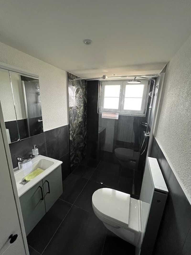 bathroom, sink, mirror, toilet, shower, white tiles