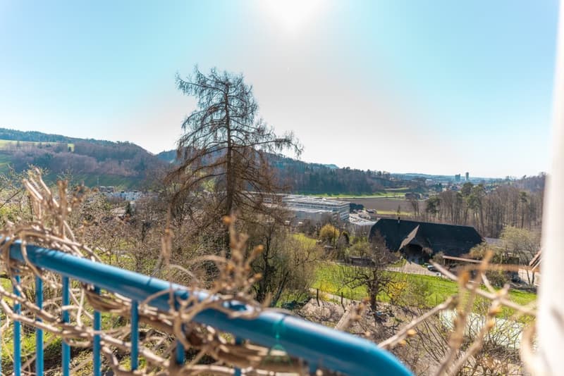 View from balcony with blue railing, overlooking a landscape with trees, a house, and a distant building