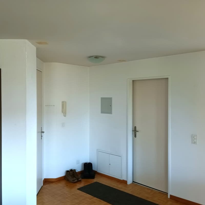 Gemütliche 1.5-Zimmer-Wohnung mit Balkon in Meikirch (2)