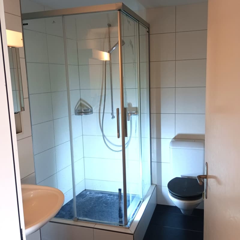 Gemütliche 1.5-Zimmer-Wohnung mit Balkon in Meikirch (9)