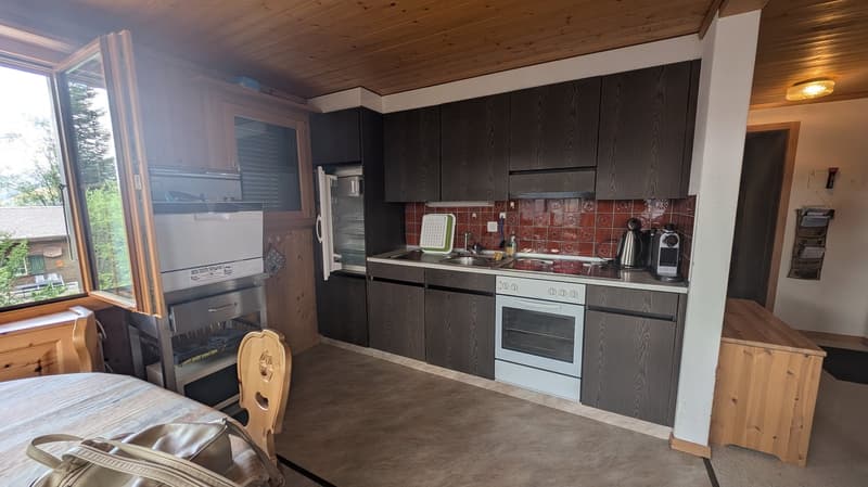 Charmante möblierte 2.5 Zimmer Ferienwohnung im Ferienparadies (9)