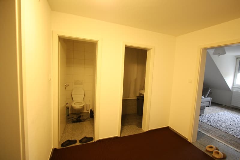 Charmante 2-Zimmer-Dachgeschosswohnung in Bern-Wabern (9)