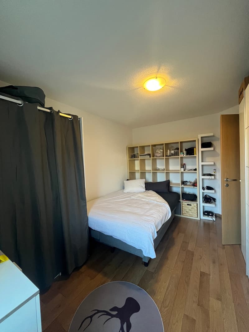 Magnifique appartement de 4.5 pièces à Vérossaz (4)