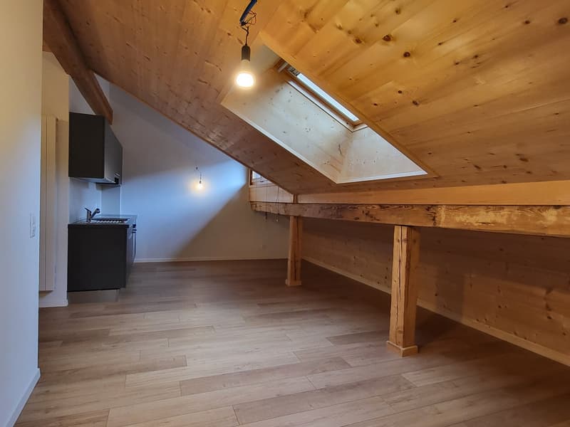 Appartement de 2 pièces au 3ème étage (2)