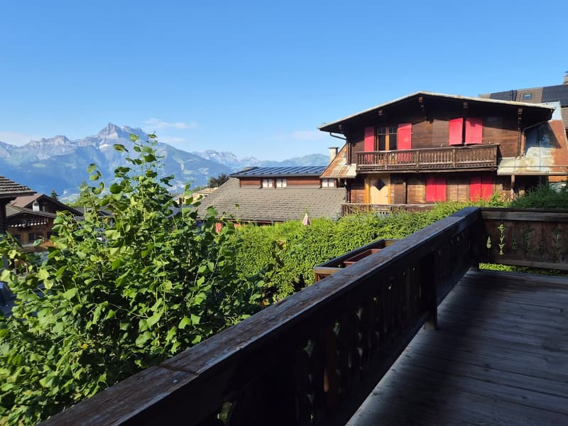 Charmant appartement de 1.5 pièces à Chesières avec balcon (2)
