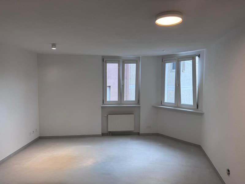 Appartement de 2 pièces rénové au 1er étage (2)