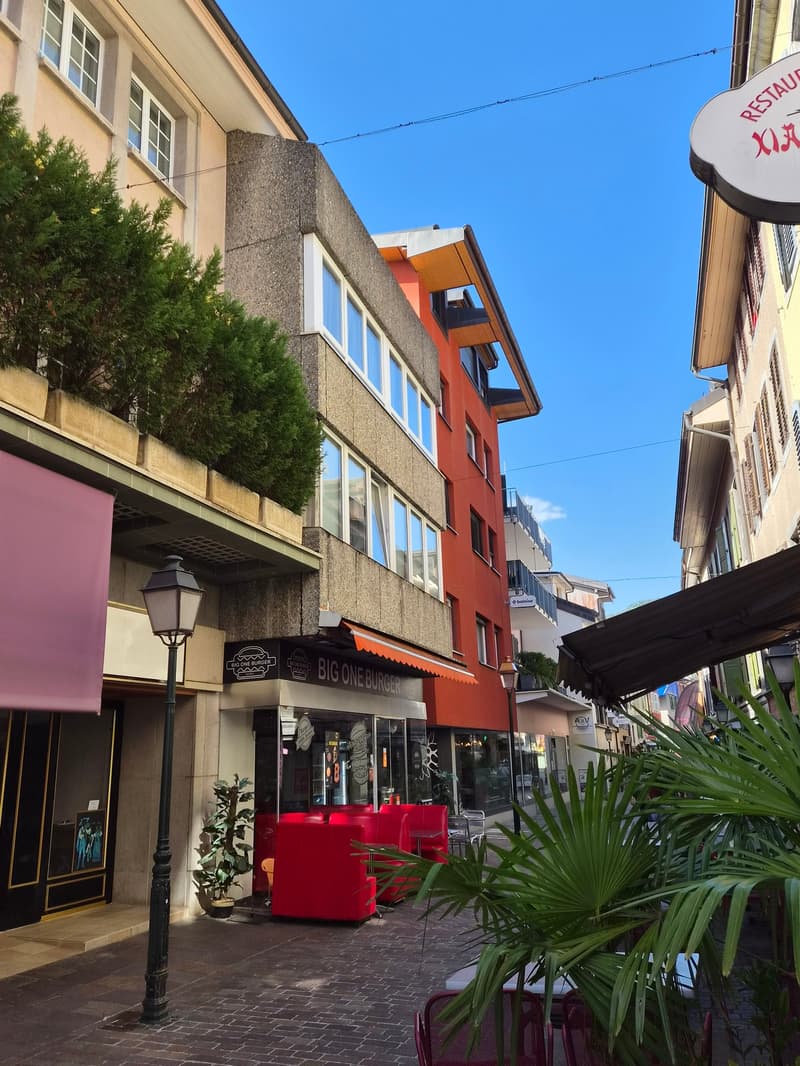 Appartement de 2 pièces rénové au 1er étage (1)