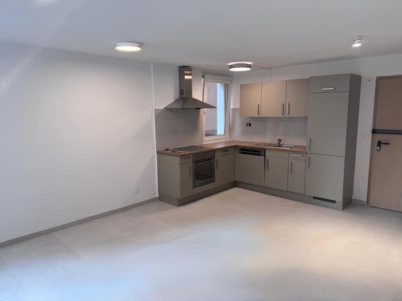 Appartement de 2 pièces rénové au 1er étage (4)