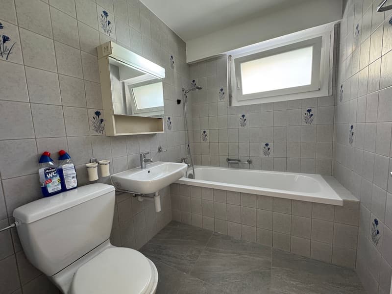 Appartement de 3 pièces rénové (9)