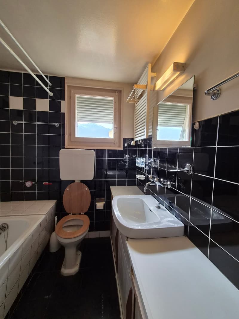 Appartement de 3 pièces à louer pour une durée déterminée (8)
