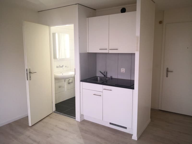 Studio mit Kochnische, Kühlschrank und sep. WC und Dusche. (1)