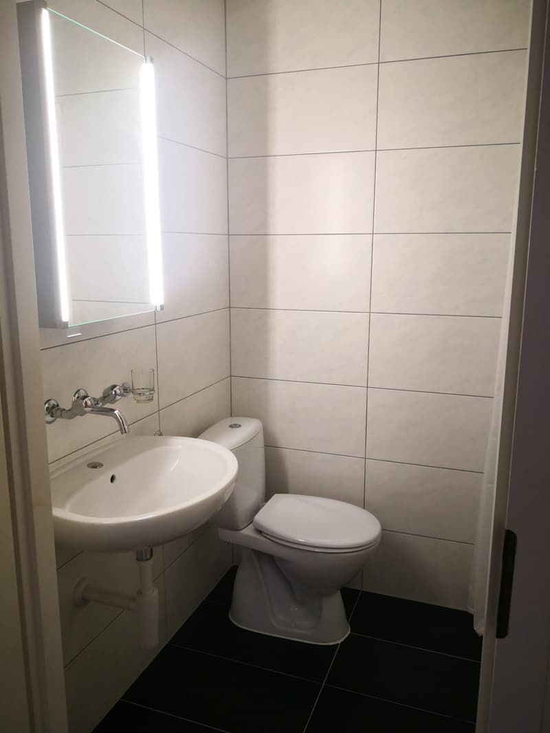 Studio mit Kochnische, Kühlschrank und sep. WC und Dusche. (3)