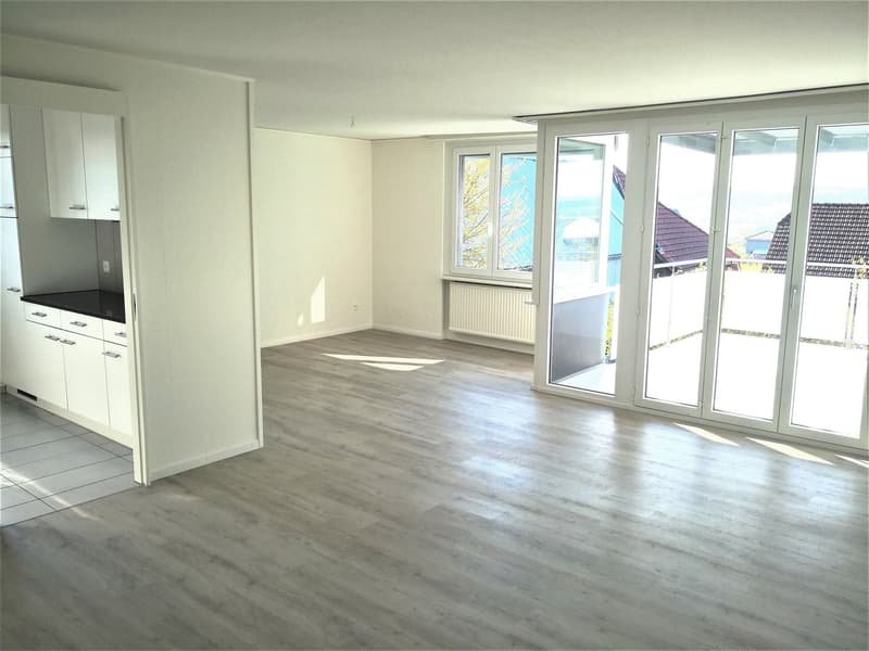 schöne 3.5 Zi. Wohnung mit grosser Terrasse (3)
